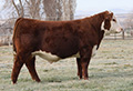 C BH PATTON 4196 ET