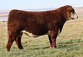 C HHR PENDLETON ET