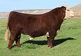 CC 133J 25K Lifetime 15M