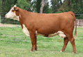 C 1086 LEANNE 3063