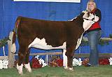 Full Sister, C Got Game Nitro 9182 at Reno.