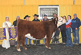 KLD RW Mercy Me D83 ET - Click to enlarge