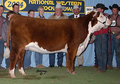 C Notice Me ET - Grand & Supreme Champion Female at Denver