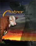 2013 Colyer Herefords 33rd Annual Production Sale