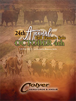 View Sale Info and Catalog