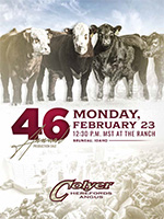 46th Annual Production Sale Catalog