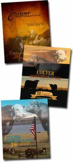 Colyer Annual Production Sale Catalog