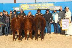 Reserve Champion Pen of Bulls - Click to enlarge